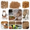 120kg/H Capacity Dog Food Production Line High Efficiency